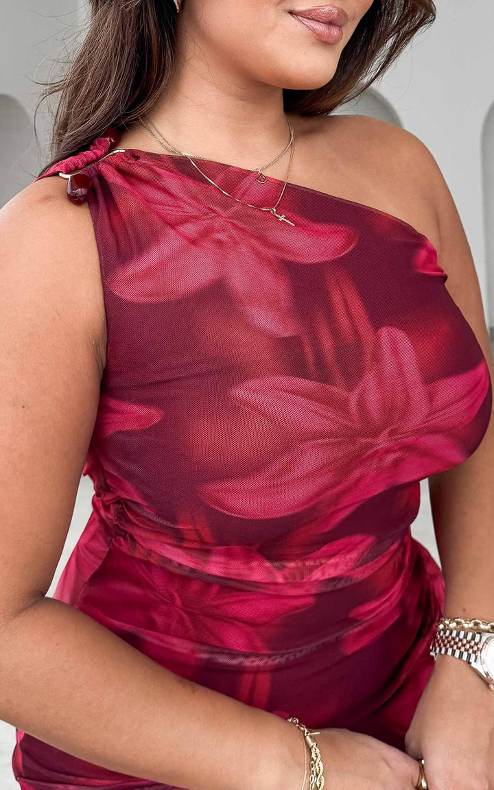 Relius Mesh Maxi Dress - Red Wine Floral